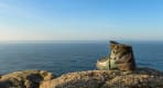 Thumbnail about Typical Statu of Peligrims Shoes at the end of the earth