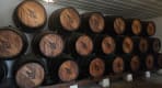 Thumbnail about José Maria da Fonseca Winery