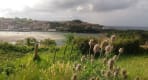 Thumbnail about Landscape