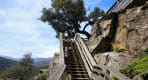 Thumbnail about The wooden boardwalk!