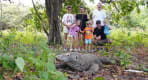 Thumbnail about Komodo Island