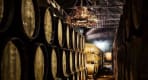 Thumbnail about José Maria da Fonseca Winery