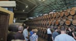 Thumbnail about Adega Quinta da Bacalhôa - Moscatel Wine Stage