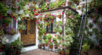 Thumbnail about Cordoba