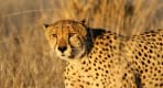 Thumbnail about null