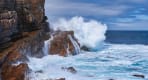 Thumbnail about cape point private tour