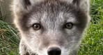 Thumbnail about null