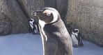 Thumbnail about null