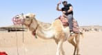 Thumbnail about Camel Hurghada