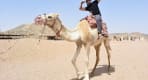 Thumbnail about Safari Hurghada
