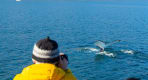 Thumbnail about Calm waters