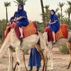 Camel Ride Through Palmeraie of Marrakech
