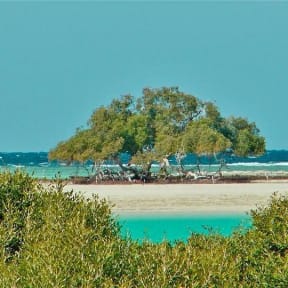 A week in Marsa Alam Egypt 