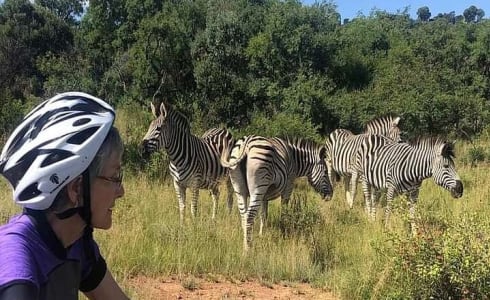 Cover image for the Half Day e-Biking with Wildlife Watching in Pretoria experience