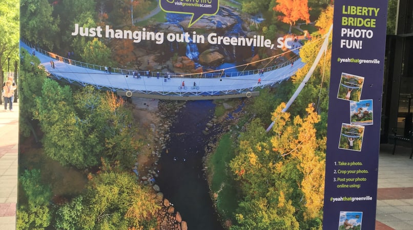 Liberty Bridge Photo Wall, shows the landscape beneath the suspension bridge with Reedy River running down the center
