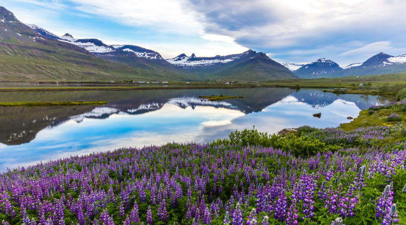 Mountaines in East Fjords in Iceland