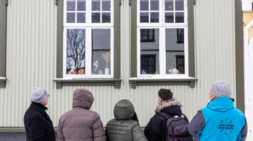 Travellers outside the cat-cafe in Reykjavik
