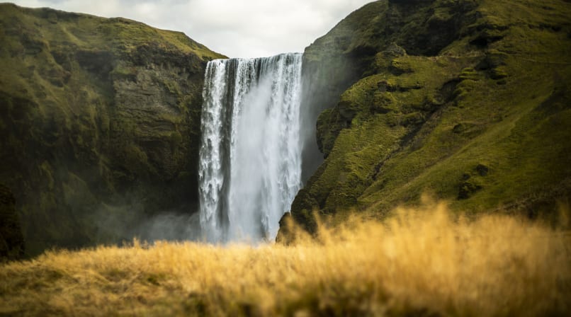 Admiring the 60 m drop of Skógarfoss waterfall while laying in the gras