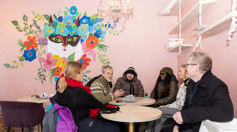Travellers sitting together in the cat-cafe in Reykjavik
