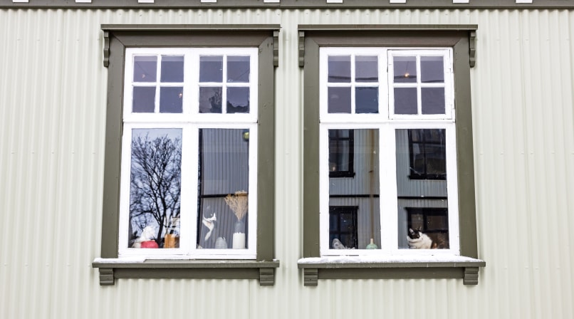 Another look at the cat-cafe from outside