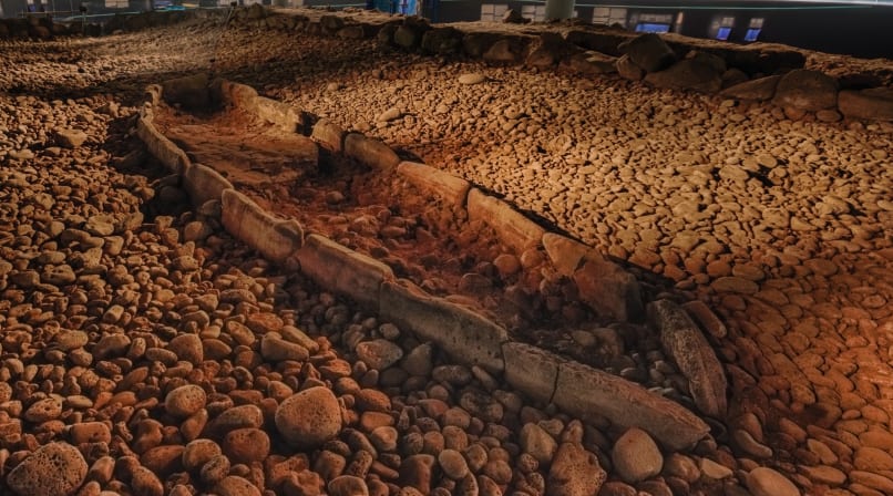 The Settlement Exhibition