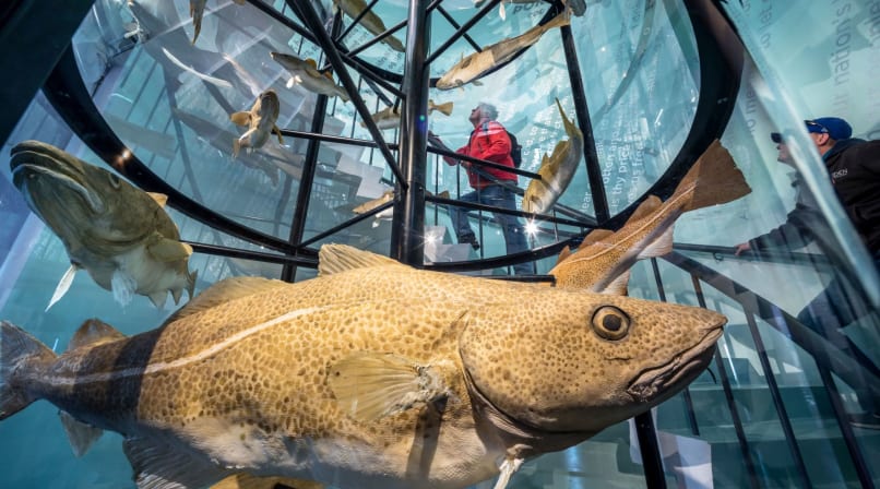 Reykjavík Maritime Museum