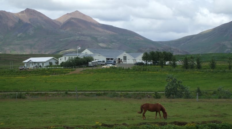 Laxnes Horse Farm