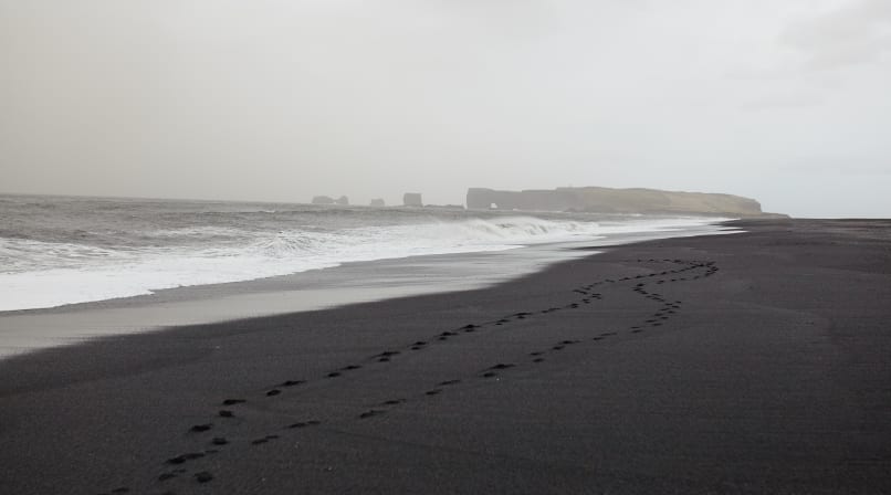 Mysterious Black Sand Beach in Reynisfjara South Coast of Iceland