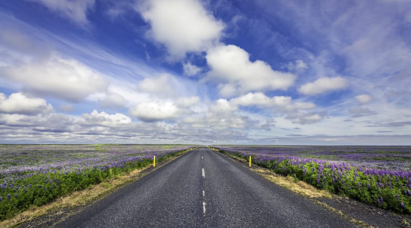 Highway nr 1 on South Coast in Iceland