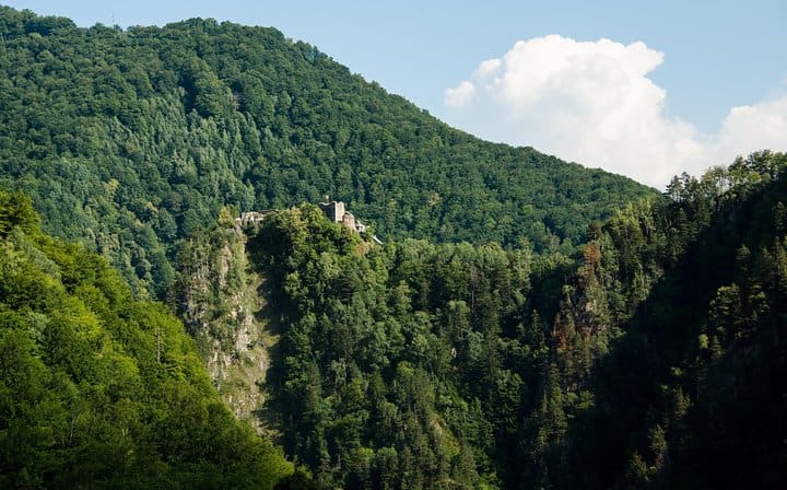 Poienari Fortress
