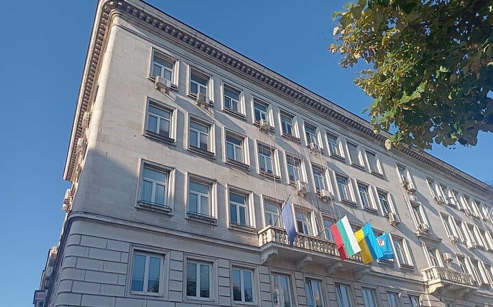The City Council