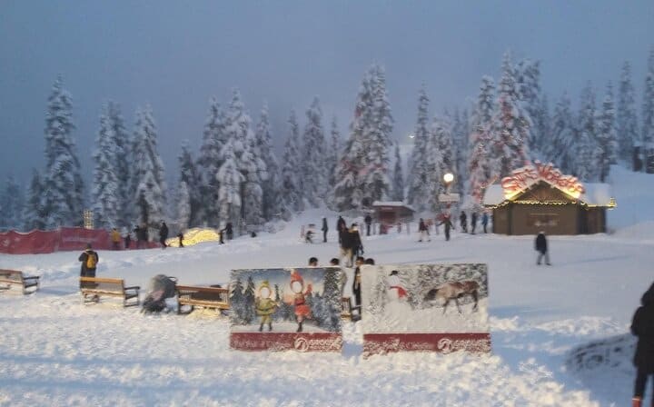 Grouse Mountain