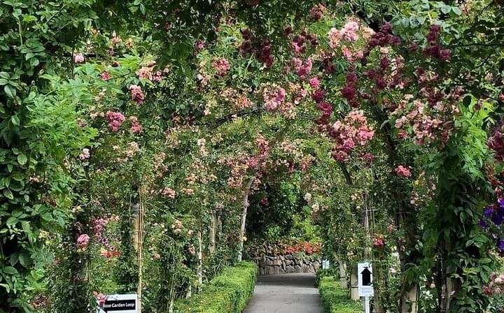 Butchart Garden