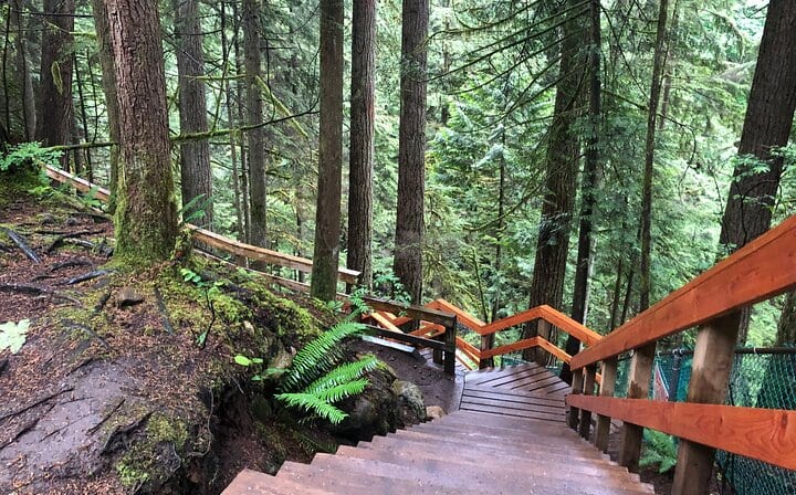 Lynn canyon trail