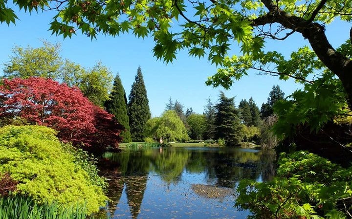 VanDusen Botanical Garden