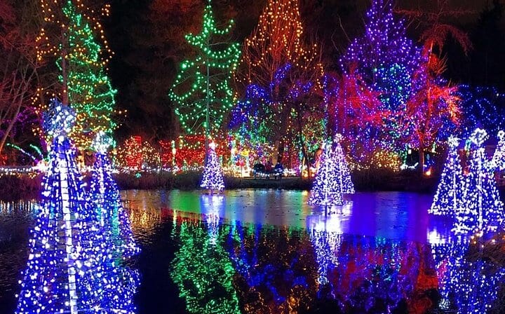 Vancouver Christmas light