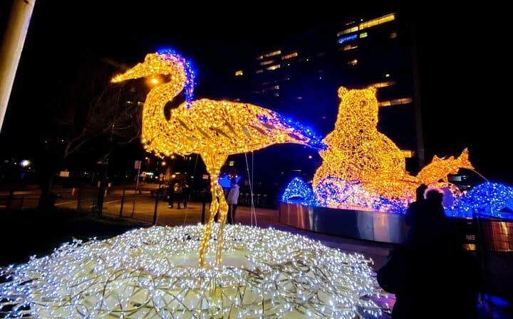 Vancouver Christmas light Tour