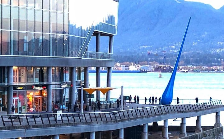 Vancouver Blue Needle