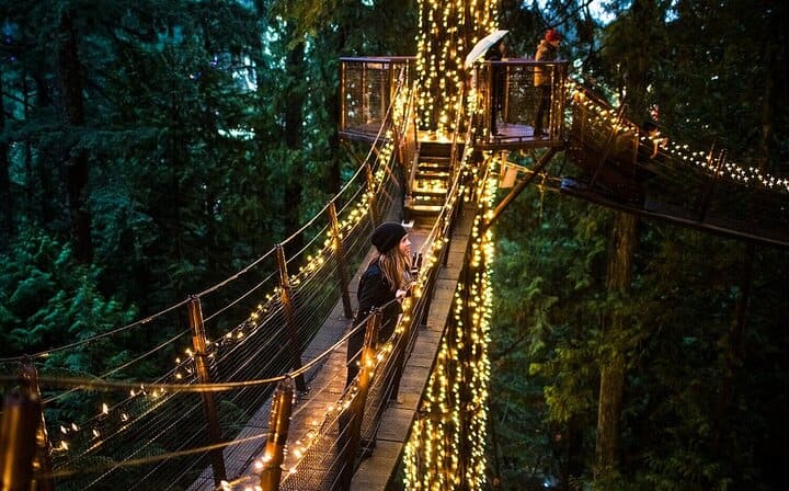 Capilano canyon light