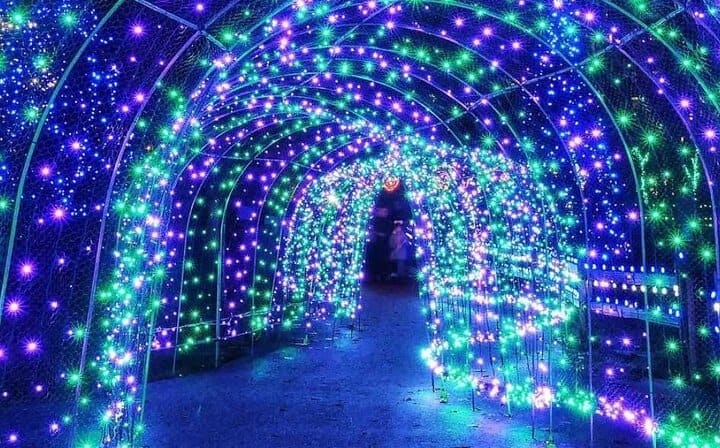 Vancouver Christmas light