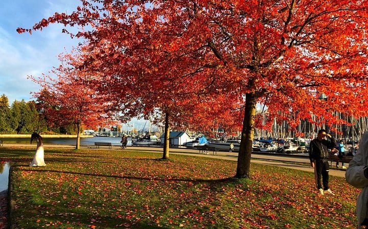 Stanely Park