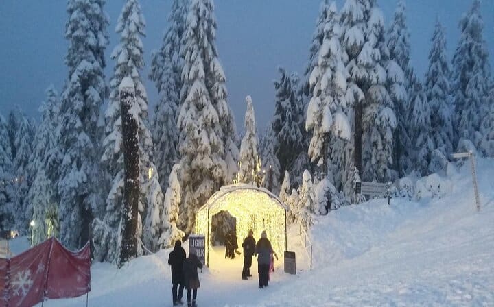 Grouse mountain Christmas