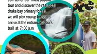 Day Tour
