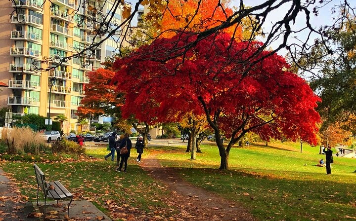 Stanley Park in Autumn