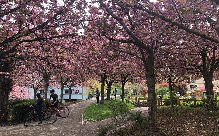 Vancouver Park