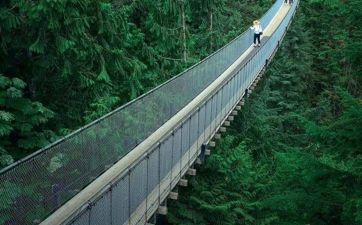 Capilano suspension