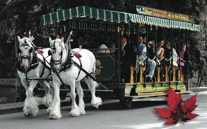 Stanley park Horse Drawn Carriage