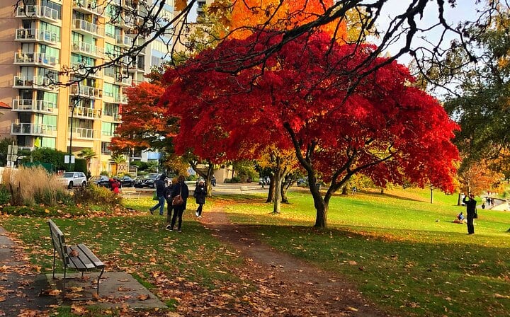 Stanley Park