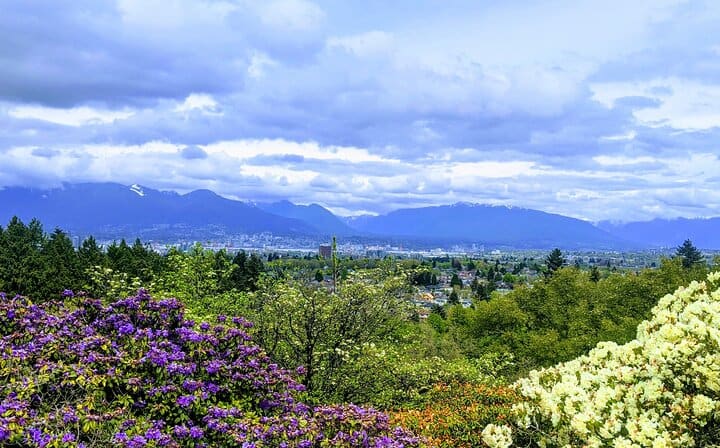 Queen Elizabeth Park
