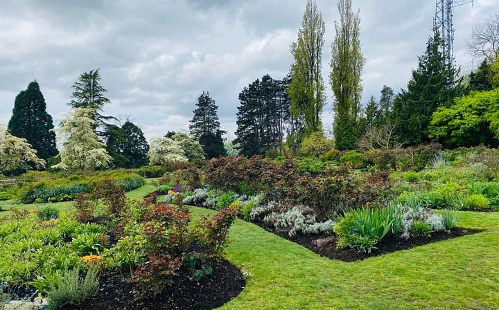 Queen Elizabaith park